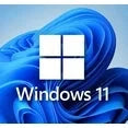Microsoft Windows 11 Pro 64-Bit – USB Flash Drive