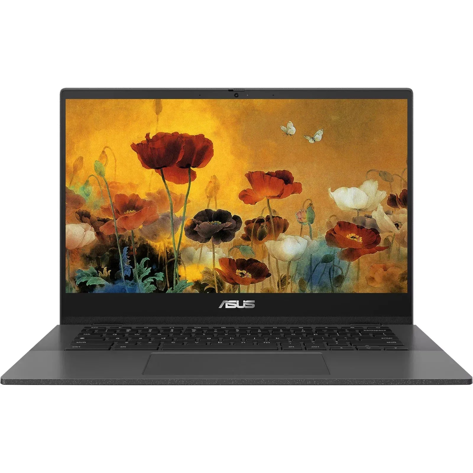 ASUS Chromebook 14