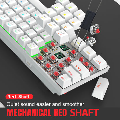 Kavlorn KL61 60% Mechanical Gaming Keyboard White | RGB Backlit, Green Switch, Wired USB