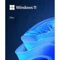 Microsoft Windows 11 Pro 64-Bit – USB Flash Drive
